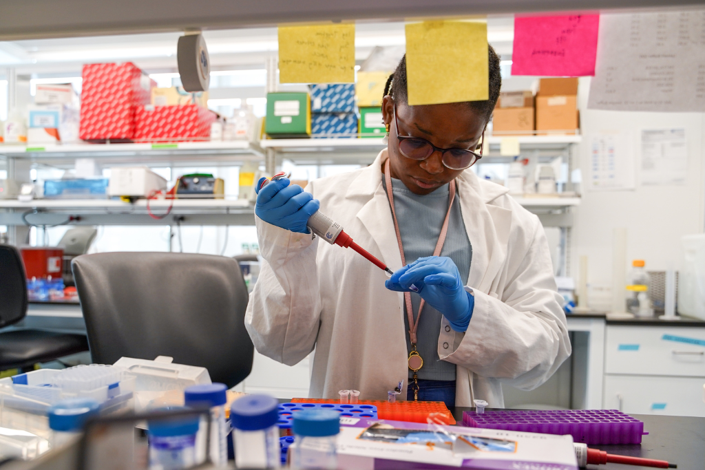 Student performing an experiment