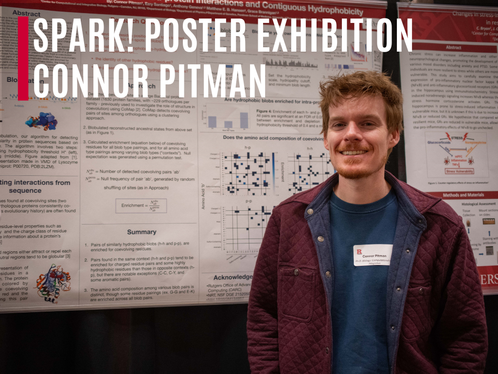 Finding Hidden Structure in Protein Sequences