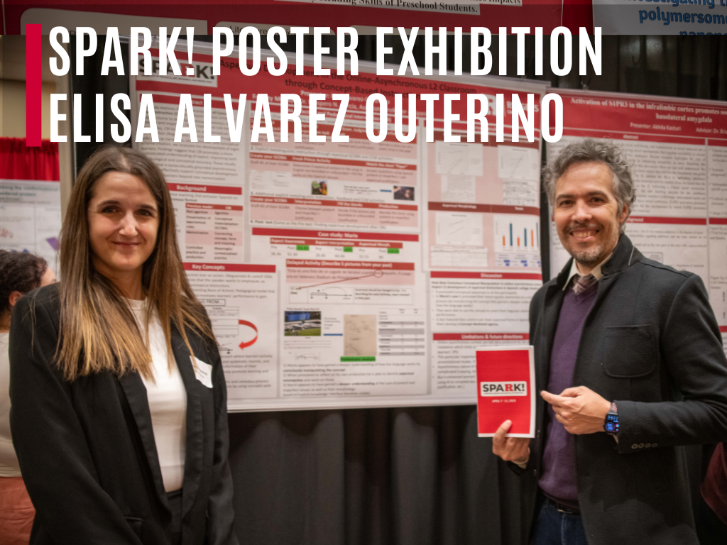 Building Conceptual Understanding in Online Spanish