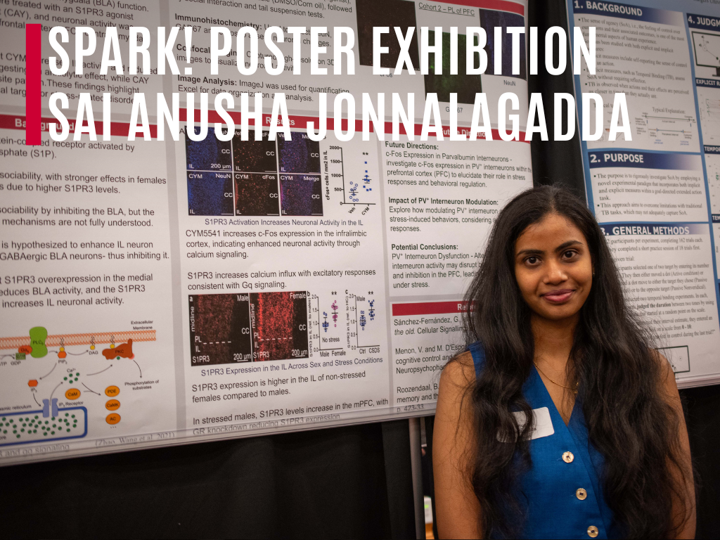 How the Brain Turns Down Fear to Turn Up Connection
